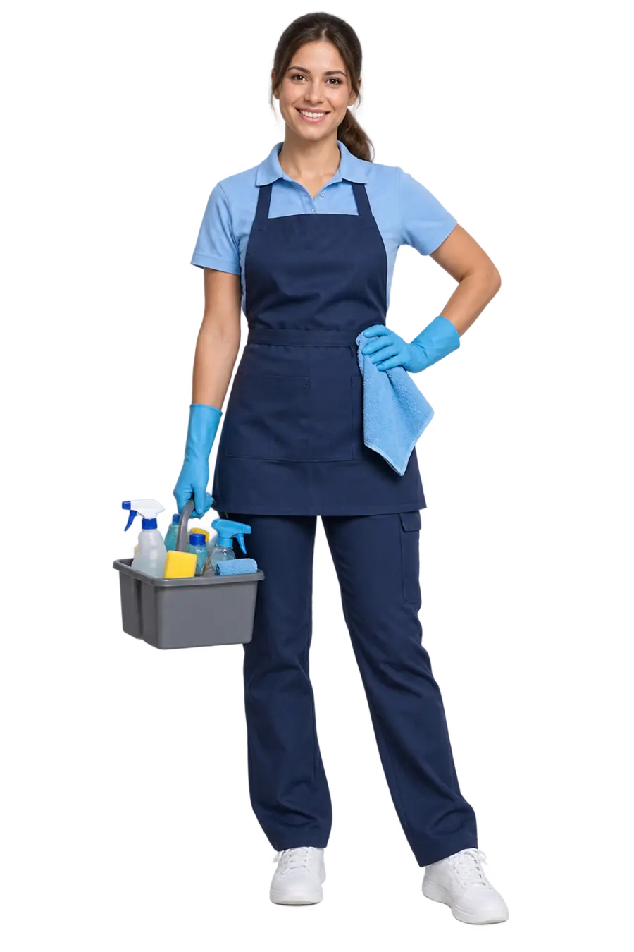 Professional cleaner
